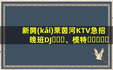 新開(kāi)萊茵河KTV急招晚班DJ、模特，龍姐在杭州帶你上班